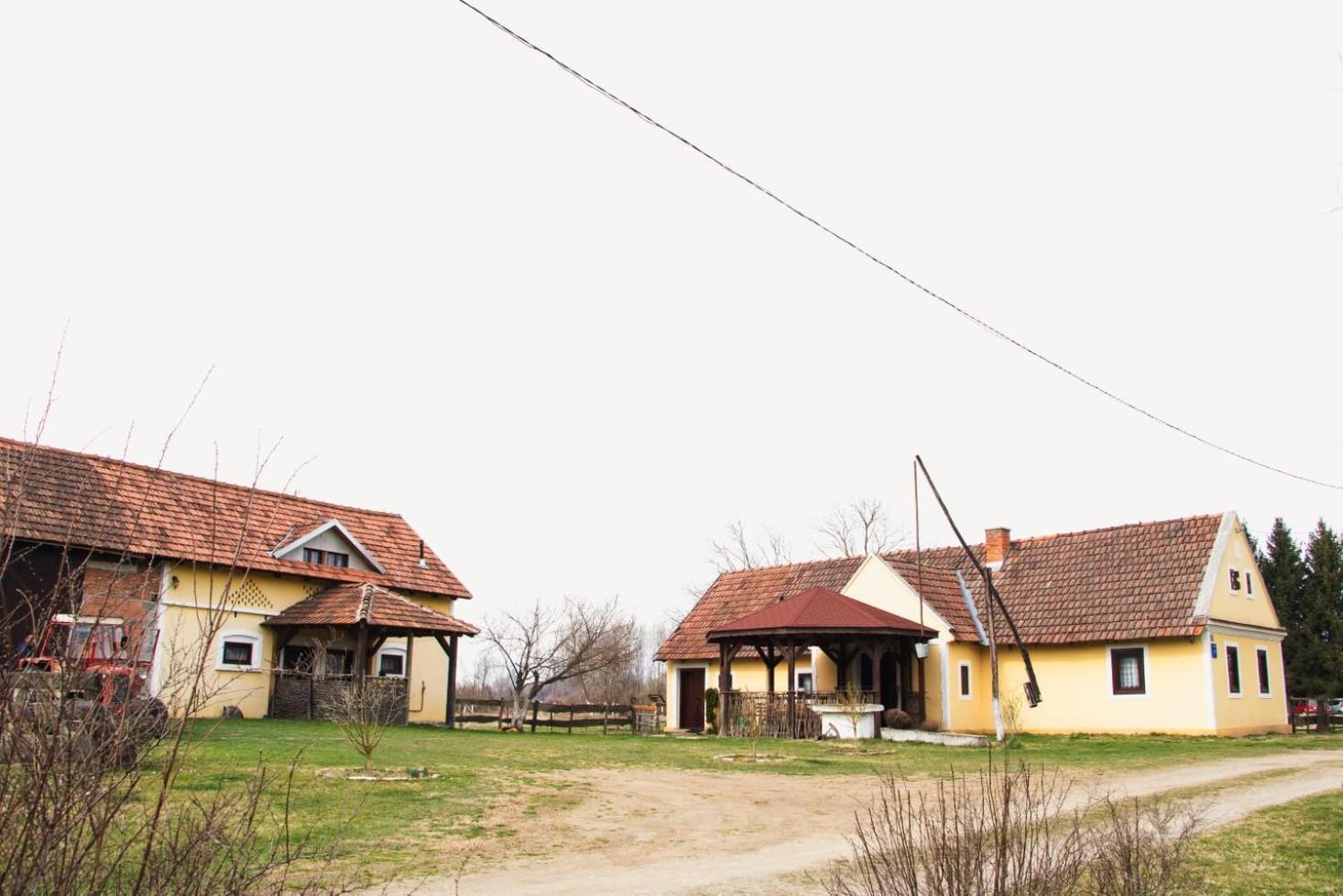 Country House Ivancan Molve Ngoại thất bức ảnh