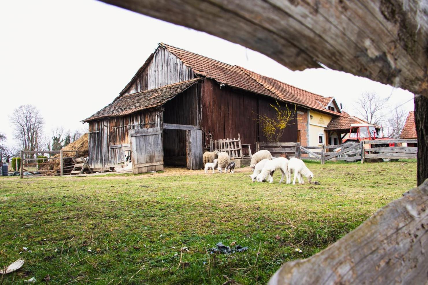Country House Ivancan Molve Ngoại thất bức ảnh