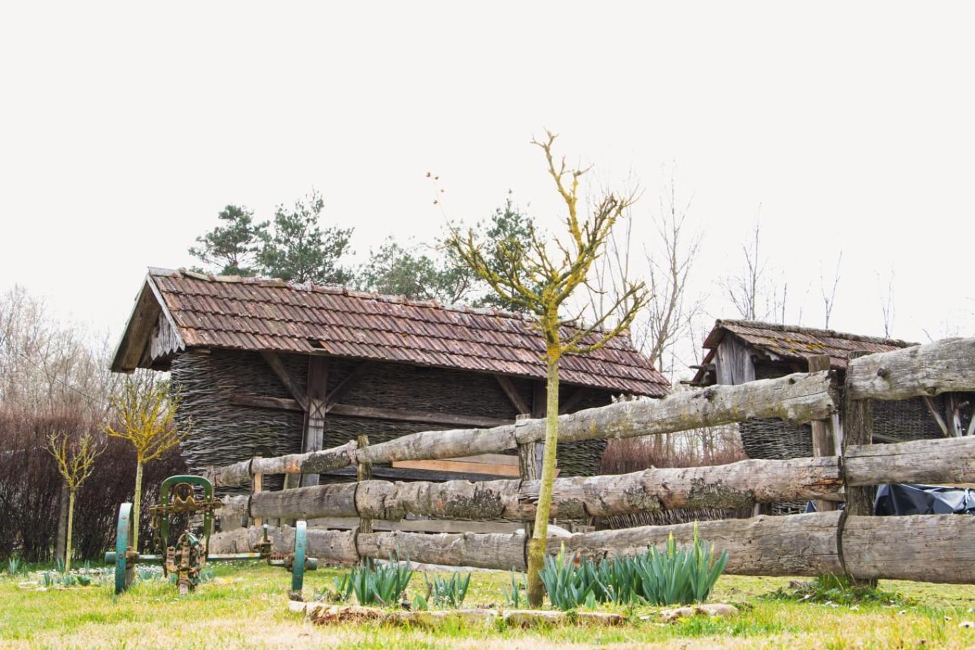 Country House Ivancan Molve Ngoại thất bức ảnh