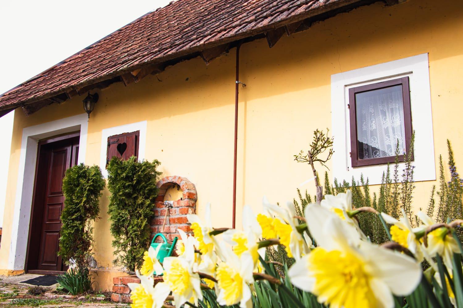 Country House Ivancan Molve Ngoại thất bức ảnh
